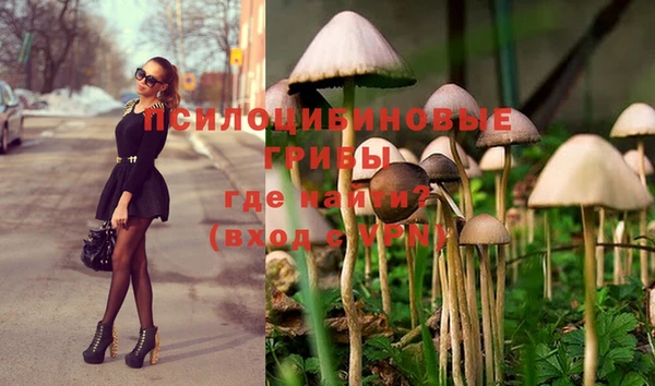 первитин Липки