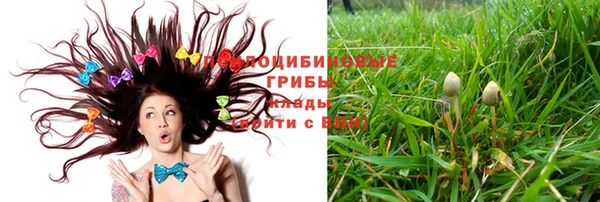 марки nbome Магадан