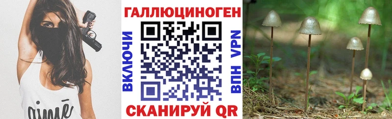 продажа наркотиков  Чебоксары  Псилоцибиновые грибы мицелий 