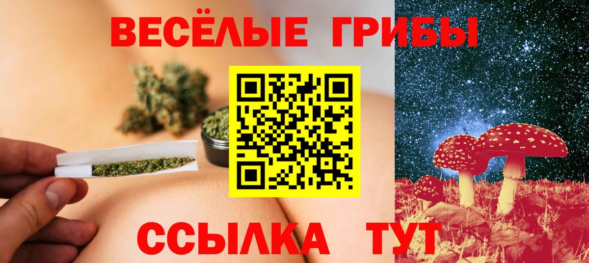 Галлюциногенные грибы GOLDEN TEACHER Чебоксары