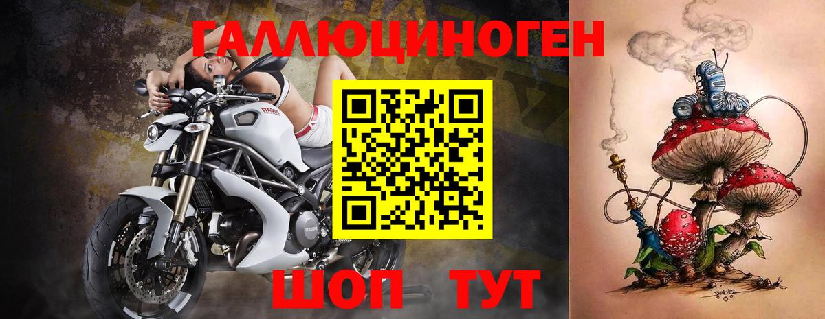 Псилоцибиновые грибы мицелий  Чебоксары  Псилоцибиновые грибы GOLDEN TEACHER 