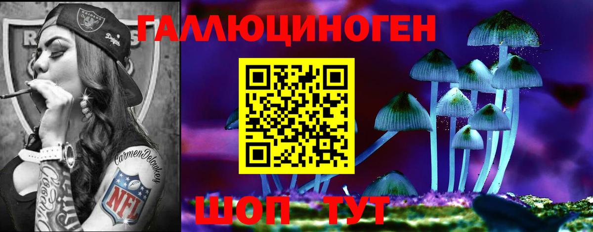Галлюциногенные грибы MAGIC MUSHROOMS  купить наркоту  Галлюциногенные грибы прущие грибы  Чебоксары  Вход с VPN 